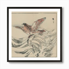 Hawk And Fish Art Print