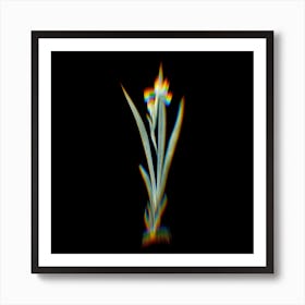 Prism Shift Yellow Banded Iris Botanical Illustration on Black n.0233 Art Print