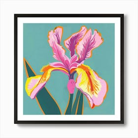 Iris 1 Square Flower Illustration Art Print