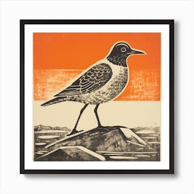 Retro Bird Lithograph Grey Plover 1 Art Print