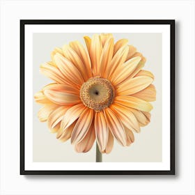 Gerbera Daisy Art Print