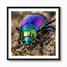 Beetle 16 Art Print