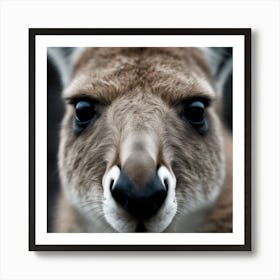 A Close Up Of A Majestic Kangaroo, Capturing Its Intense Gaze And Powerful Presence Art Print