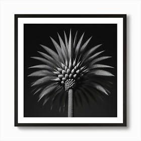 Palm Tree Art Print