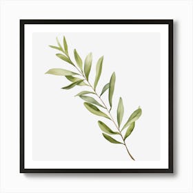 Olive Branch Isolated On Black Art Print