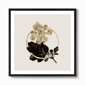 Gold Ring Oakleaf Hydrangea Glitter Botanical Illustration n.0303 Art Print