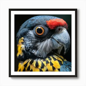 Parrot 4 Art Print