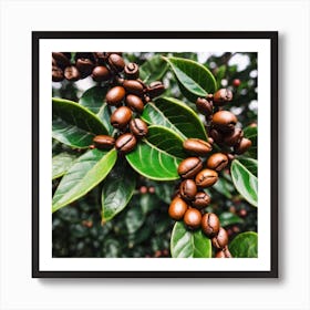 Coffee Beans 17 Art Print