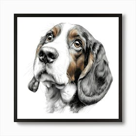 Basset Hound 1 Art Print