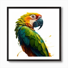 Colorful Parrot 10 Art Print