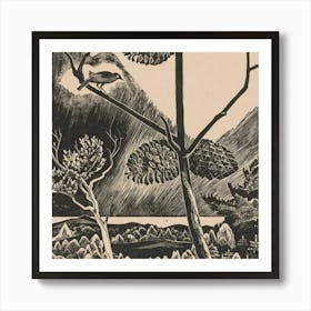 Bird In Pine Tree Art Print