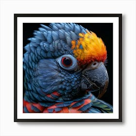 Colorful Parrot 4 Art Print