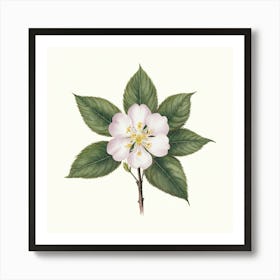 Apple Blossom 2 Art Print