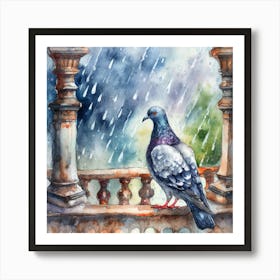 Pigeon In The Rain Art Print