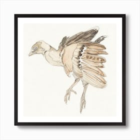 Dead Bird Partridge (1873–917) By Theo Van Hoytema Art Print