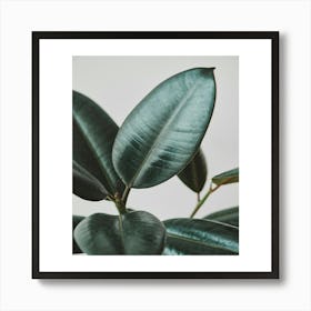 Green Leaf Print Art Print