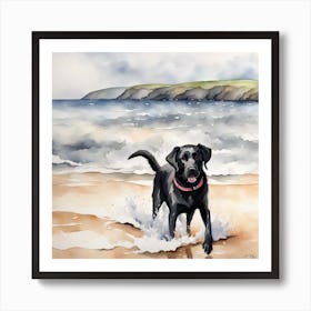 Black Labrador enjoying the waves Affiche