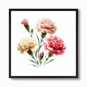 Flowers of Carnation 1 Art Print