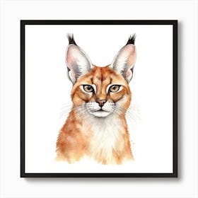 Caracal Cat Portrait 3 Art Print