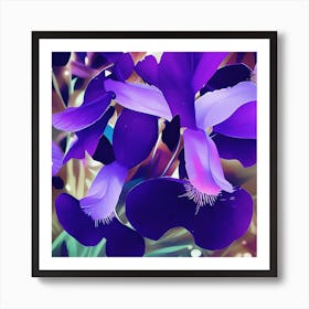 Purple Iris Art Print
