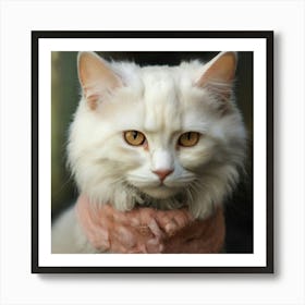 Default Pictures Of Siamo Cats 3 Art Print