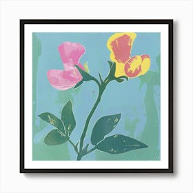 Sweet Pea 2 Square Flower Illustration Art Print