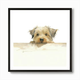 Yorkshire Terrier 14 Art Print