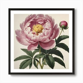 Peony flower plants painting art print Art Print