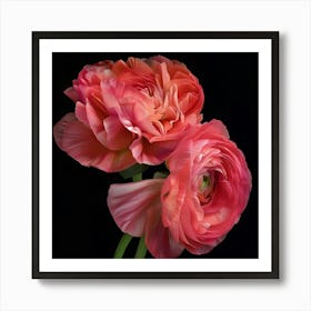 Poster Pink Peonies 1 Art Print