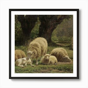 Sheeps 3 Art Print