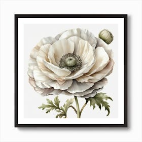 Large white poppy flower 4 Art Print