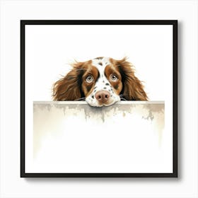 Spaniel Welsh Springer Art Print