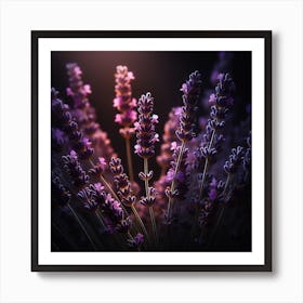 Lavender Flowers In The Dark Art Print