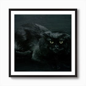 Black Cat Square Affiche