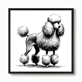 Poodle Dog Art Print