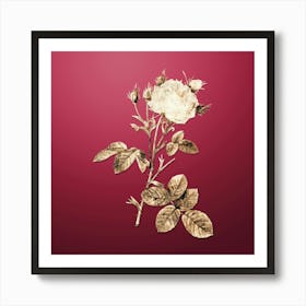Gold Botanical White Provence Rose on Viva Magenta n.2753 Art Print