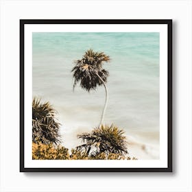 Palm Tree On Beach Square Art Print