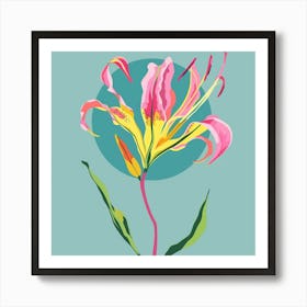 Gloriosa Lily 2 Square Flower Illustration Art Print