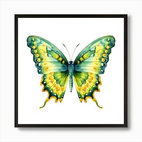 Butterfly Isolated On White Background Art Print