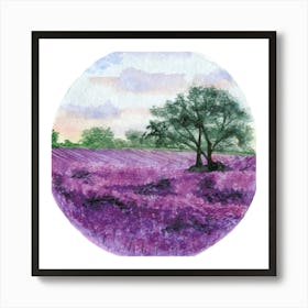 Lavender Field Art Print