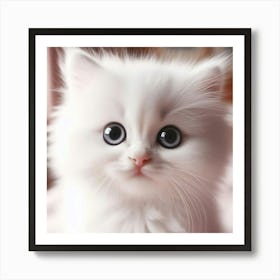 Cute White Kitten 1 Art Print