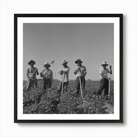 Twin Falls County, Idaho, Fsa (Farm Security Administration) Workers Camp, Japanese Farm Workers By Russell Lee Art Print