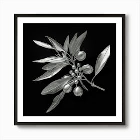 Olive Branch 1 Art Print