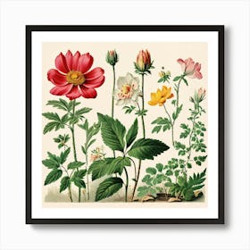 A Vintage Botanical Illustration Of Flowers And Plants art print 1 Art Print