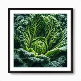 Close Up Of A Green Cabbage 1 Art Print