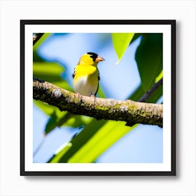 Goldfinch 10 Art Print