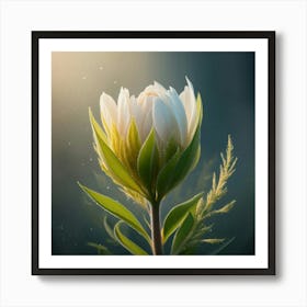 White Flower 2 Art Print