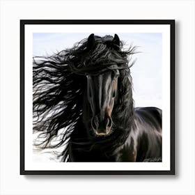 Friesian Black Horse - Mane Attraction Art Print