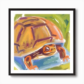 Box Turtle 07 Art Print