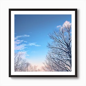 Winter Trees Stock Videos & Royalty-Free Footage Art Print